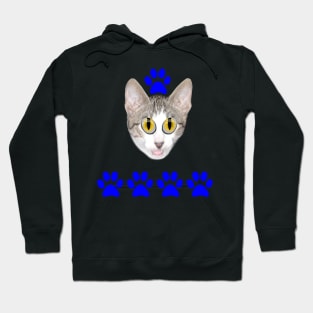 Fans of cute cat feet and eyes Hoodie